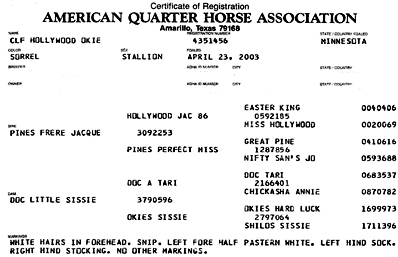 AQHA breeding Parker, CO